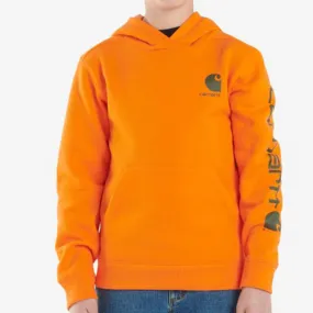 Boy's Carhartt Graphic Pullover Boy's Carhartt Graphic Pullover