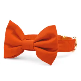 Cider Bow Tie Collar Cider Bow Tie Collar