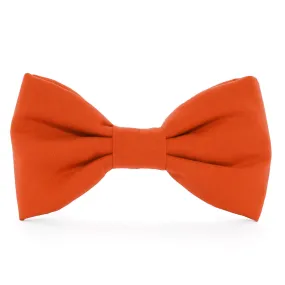 Cider Dog Bow Tie Cider Dog Bow Tie