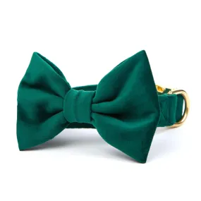Forest Green Velvet Bow Tie Collar Forest Green Velvet Bow Tie Collar