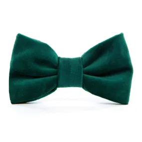 Forest Green Velvet Dog Bow Tie Forest Green Velvet Dog Bow Tie