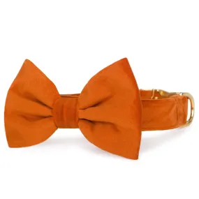 Pumpkin Velvet Bow Tie Collar Pumpkin Velvet Bow Tie Collar