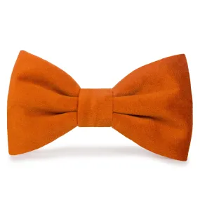 Pumpkin Velvet Dog Bow Tie Pumpkin Velvet Dog Bow Tie